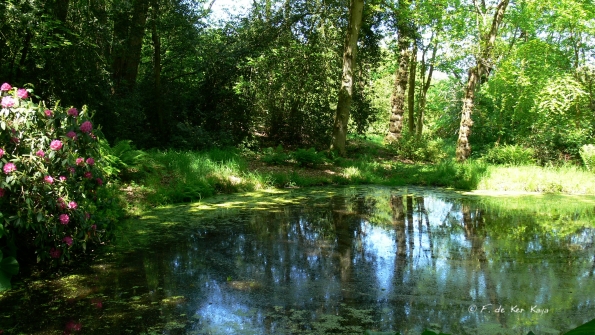 Bois des Moutiers (229) Mai 2012
